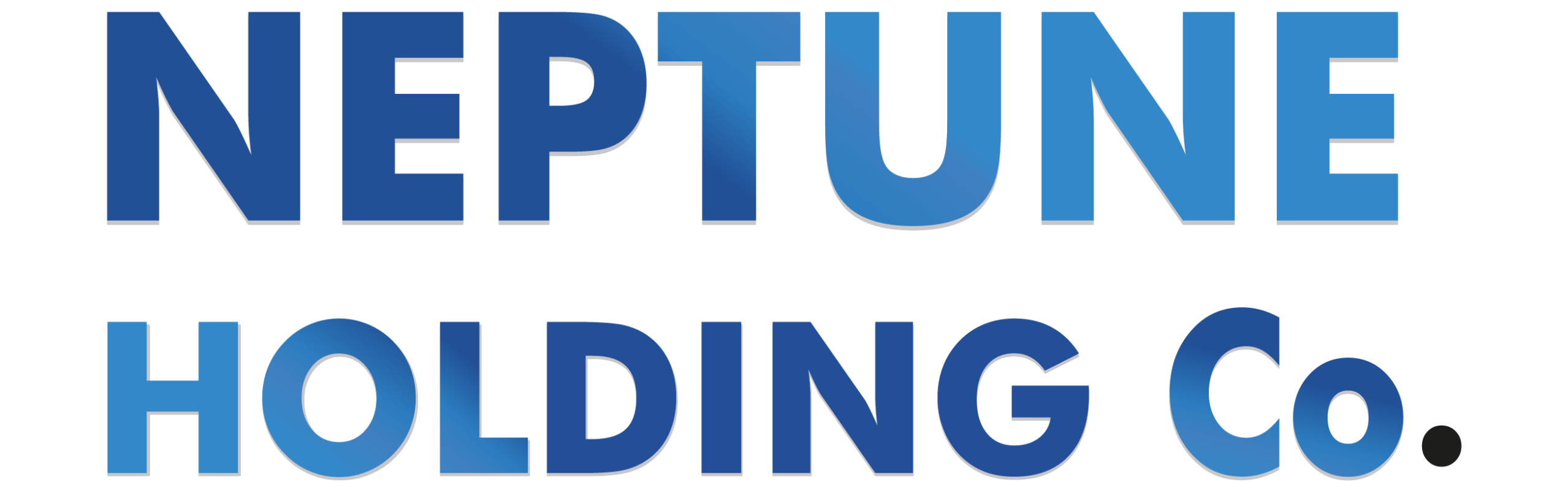 logo Neptune Holding Company